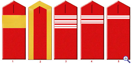 Плечевые погоны на шинель нижних чинов гусарских полков русской армии образца 1843 года.