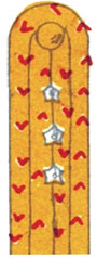 погоны турецкой армии 1912-1918